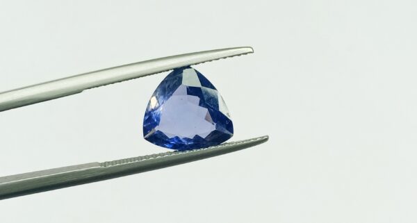 Iolite Gemstone Trillion Cut 10MM - 2.40 Carat - Ravi Ratnesh