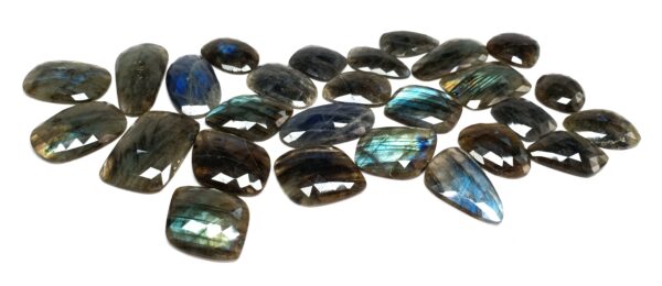 Labradorite Organic Rose Cuts - Ravi Ratnesh