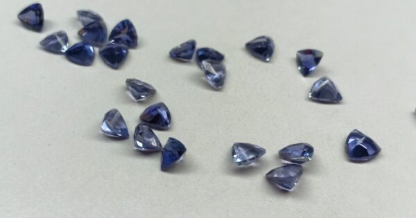 Iolite Trillion Cut 4MM - Ravi Ratnesh