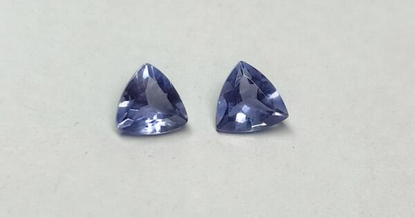 Iolite Trillion Cut 4MM - Ravi Ratnesh