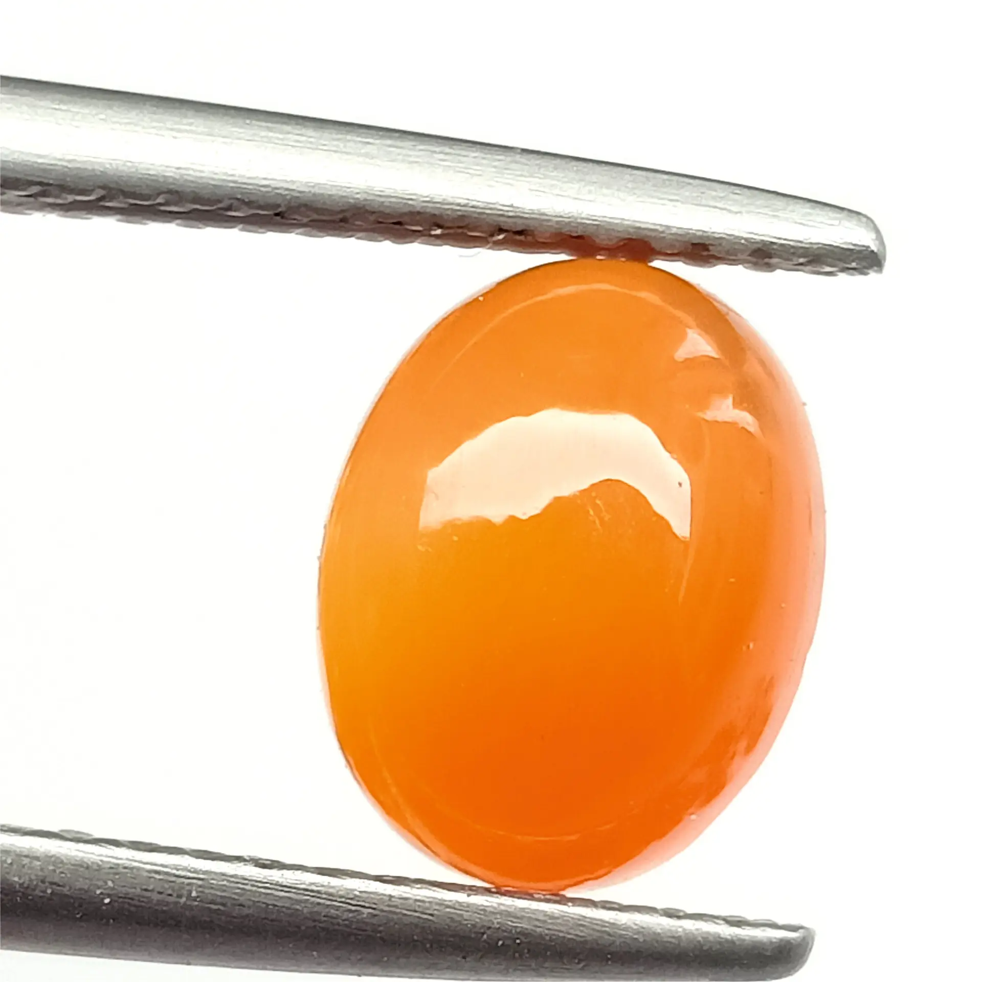 Carnelian Oval Cab 7 x 9mm 50cts. - Ravi Ratnesh