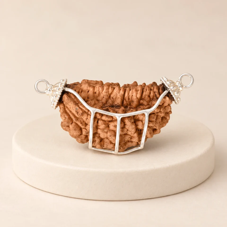 1 Face Rudraksha