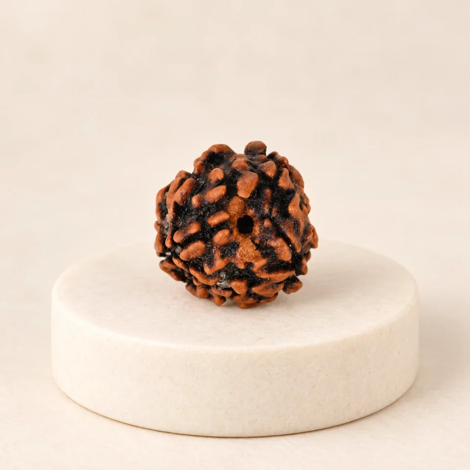 3 Face Rudraksha