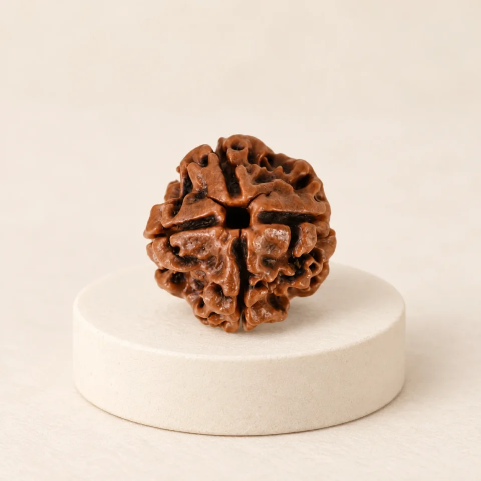 4 Face Rudraksha