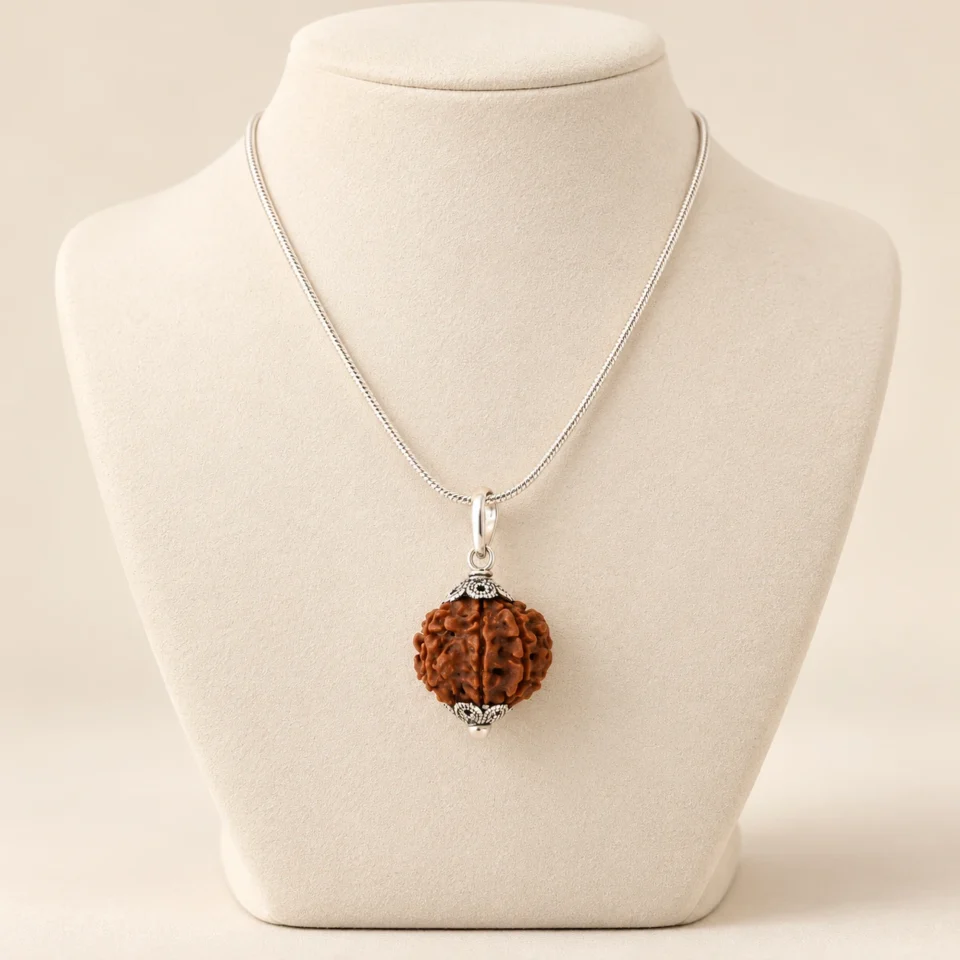7 Face Rudraksha