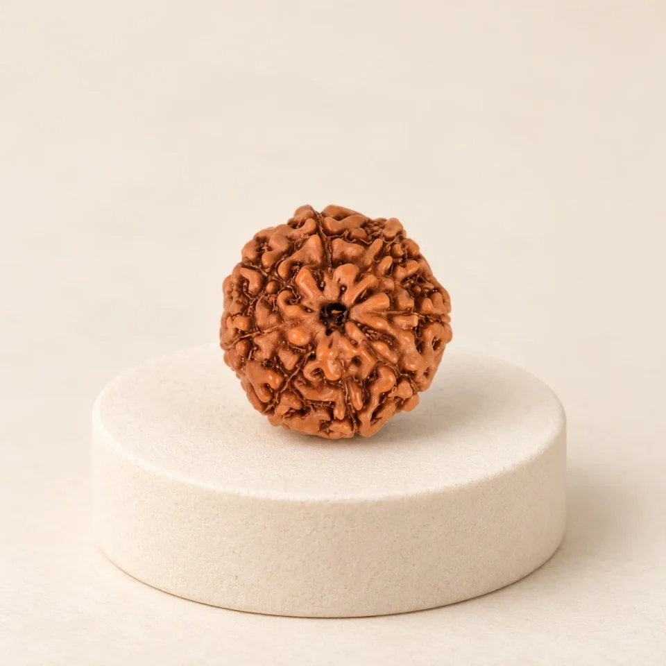 9 Face Rudraksha