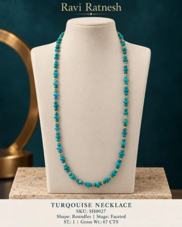 Turqouise Single Hook Necklace