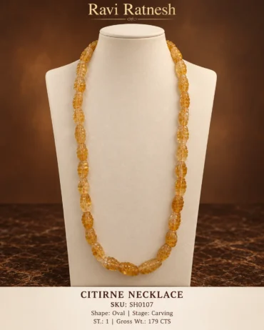 Citirne Single Hook Necklace SH0107 — studio product photograph