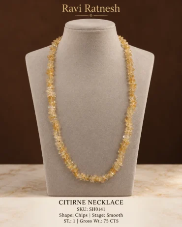 Citirne Single Hook Necklace SH0141 — studio product photograph