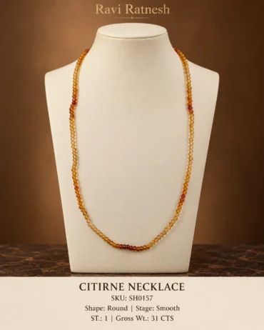 Citirne Single Hook Necklace
