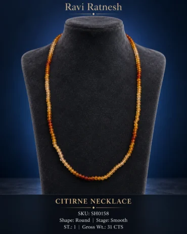 Citirne Single Hook Necklace SH0158 — studio product photograph