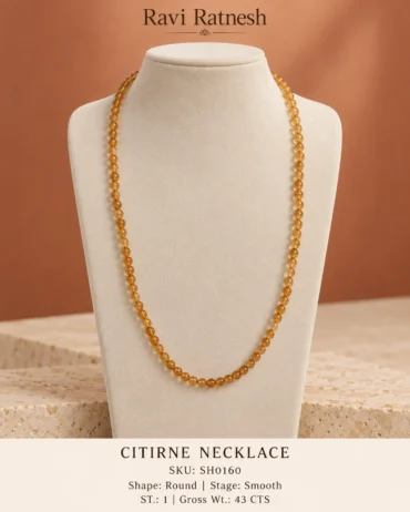 Citirne Single Hook Necklace